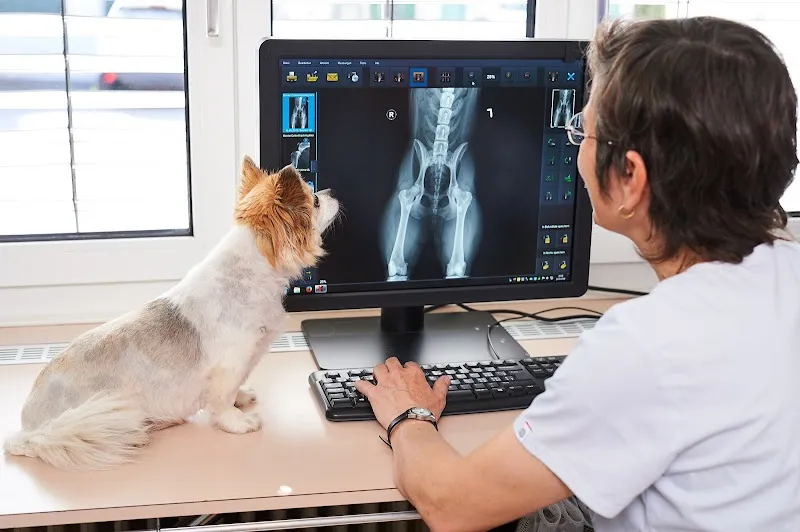 Kleintierpraxis Dr. Dittus — Tierarzt, Winterthur, Zürich. Foto 3