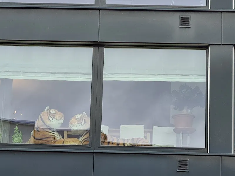 Kleintierpraxis Dr. med. vet. Martina A. Rusch — Tierarzt, Wilen, Schwyz. Foto 3