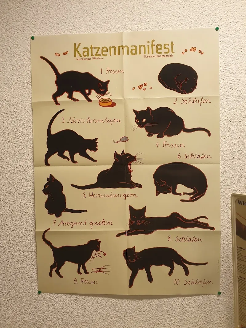 Kleintierpraxis Floris — Tierarzt in Bülach, Zürich. Bewertung 4.8/5.