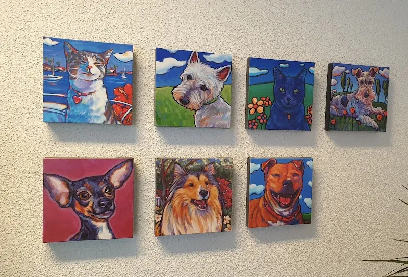 Kleintierpraxis Floris — Tierarzt, Bülach, Zürich. Foto 3