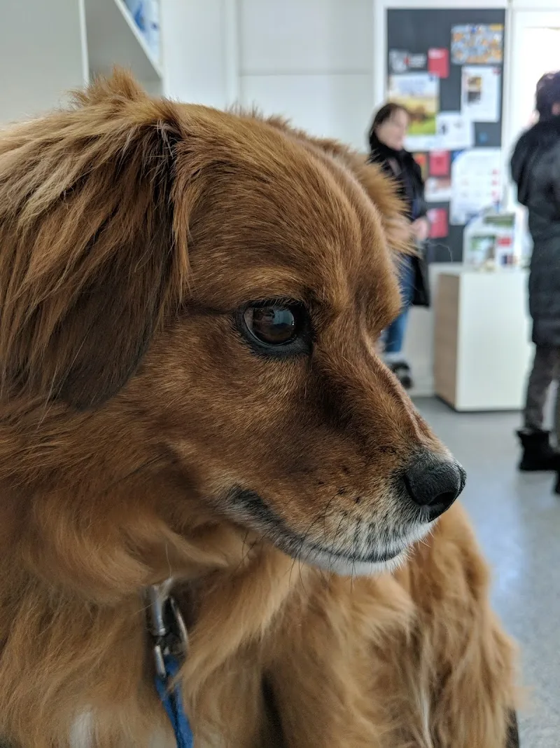 Kleintierpraxis Freiestrasse AG — Vétérinaire, Zürich, Zurich. Foto 2