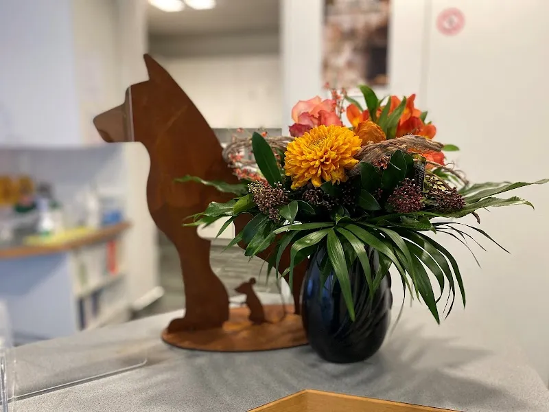 Kleintierpraxis Geroldswil — Vétérinaire, Geroldswil, Zurich. Foto 3