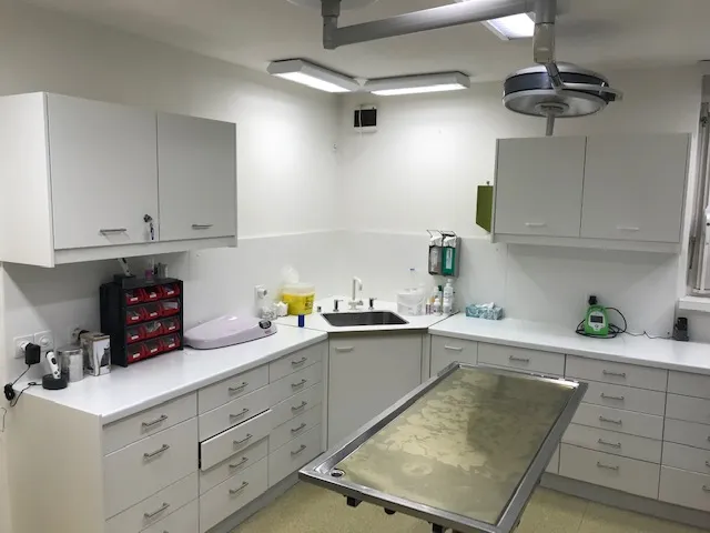 Kleintierpraxis Hohenklingen — Veterinarian, Zürich, Zurich. Foto 3