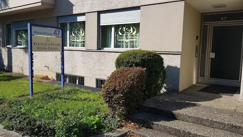 Kleintierpraxis Julius Caesar — Vétérinaire, Winterthur, Zurich. Foto 2