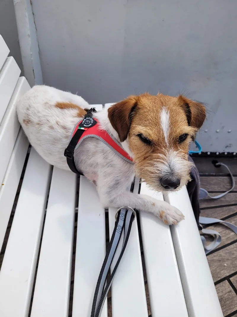 Kleintierpraxis Julius Caesar — Vétérinaire, Winterthur, Zurich. Foto 3