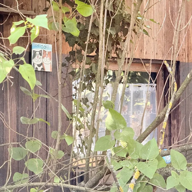 Cabane des chats — Katzenpension in Meyrin, Genf. Bewertung 4.8/5.