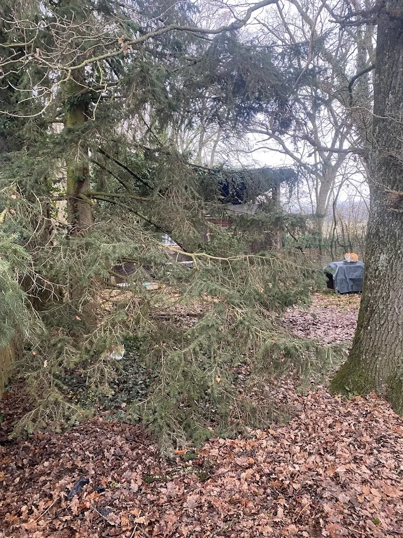 Cabane des chats — Pension pour chats, Meyrin, Genève. Foto 2