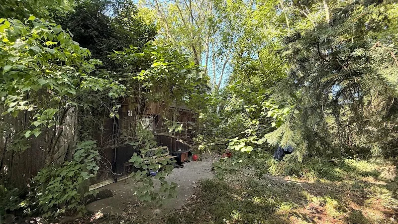 Cabane des chats — Pension pour chats, Meyrin, Genève. Foto 3