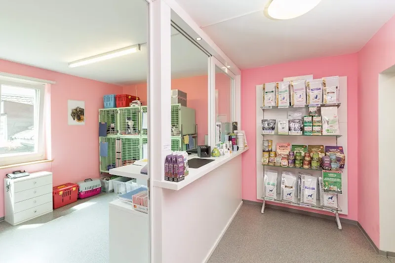 Kleintierpraxis Mühlebach GmbH — Vétérinaire, Zürich, Zurich. Foto 3