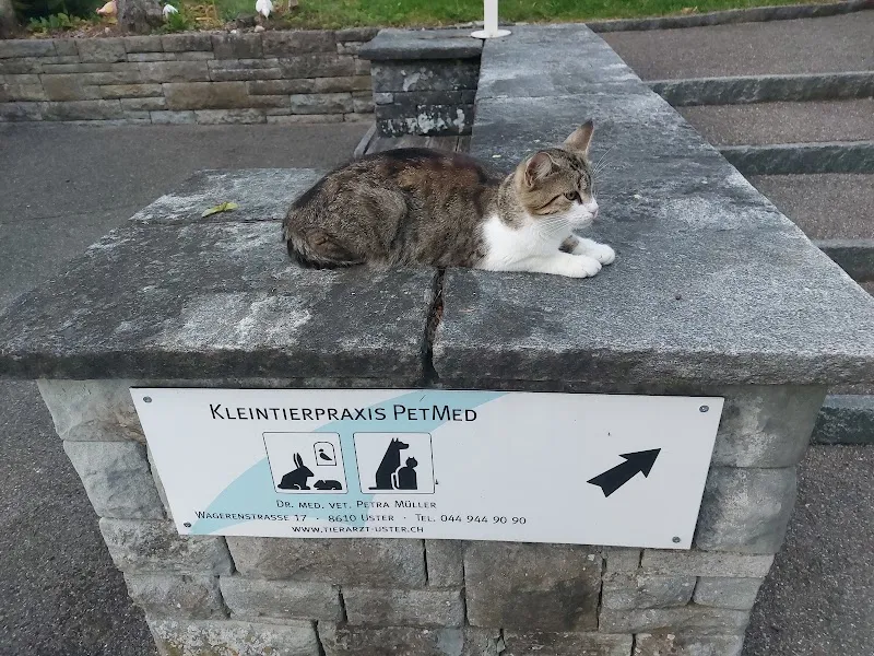 Kleintierpraxis PetMed AG — Vétérinaire, Uster, Zurich. Foto 3