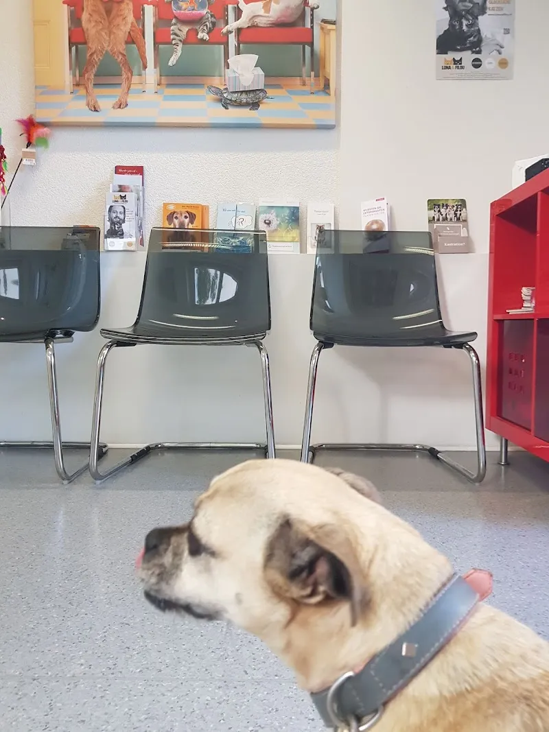 Kleintierpraxis Pfotenwohl Susanne Weiss med. vet. — Vétérinaire, Zürich, Zurich. Foto 2