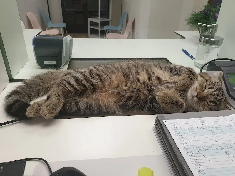 Kleintierpraxis Ruge — Tierarzt, Bergdietikon, Aargau. Foto 3