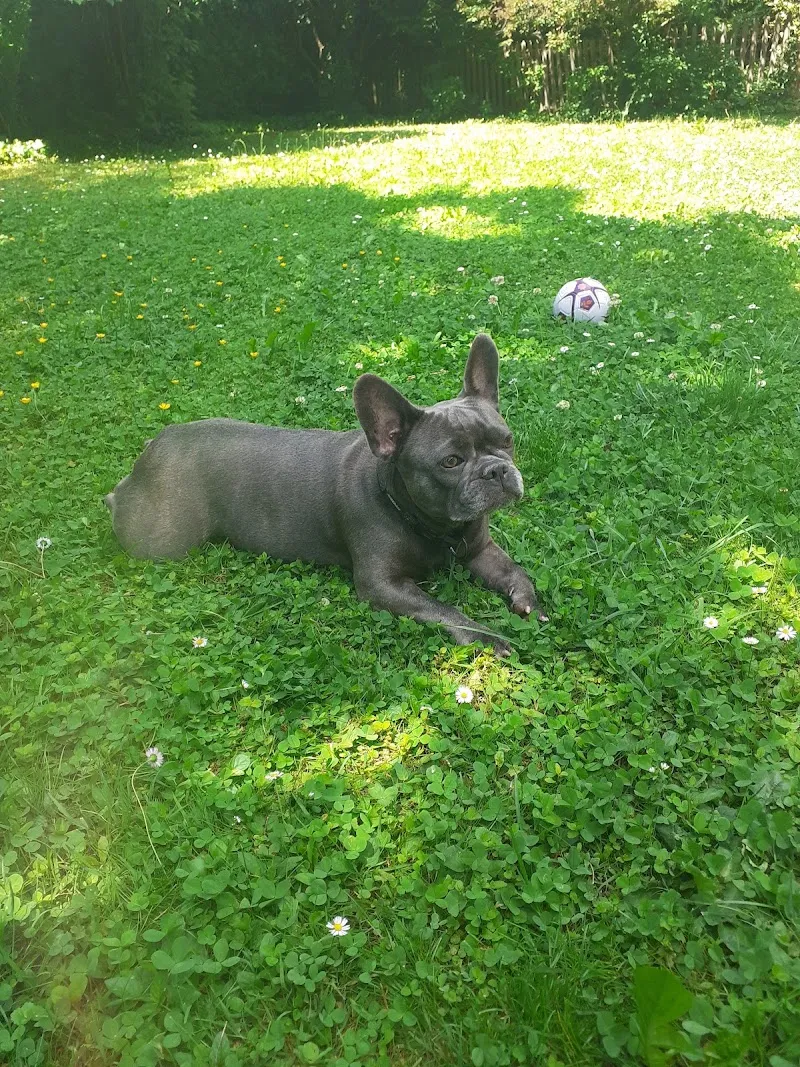 Kleintierpraxis Schwäntenmos — Vétérinaire, Zumikon, Zurich. Foto 2