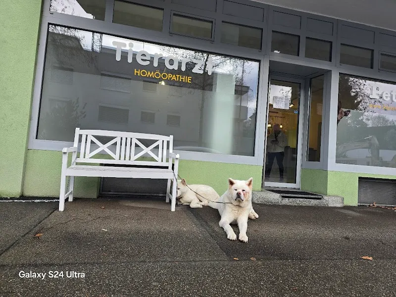 Kleintierpraxis Seebach — Vétérinaire, Zürich, Zurich. Foto 2