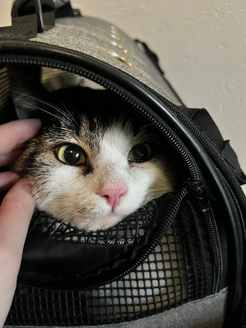 Kleintierpraxis Uetliberg — Tierarzt in Zürich, Zürich. Bewertung 4.7/5.