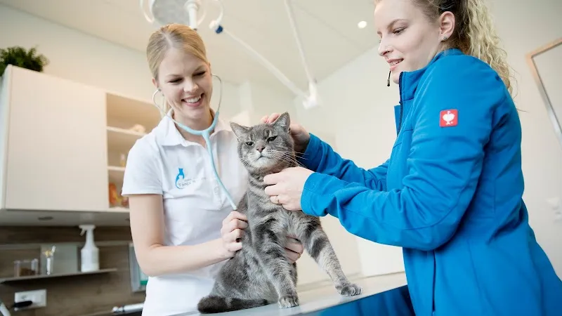 Kleintierpraxis Wetzikon — Tierarzt in Wetzikon, Zürich. Bewertung 4.9/5.