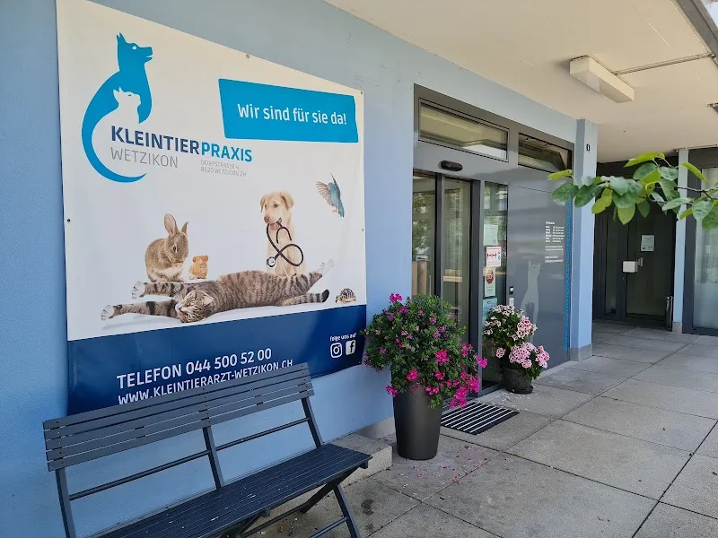 Kleintierpraxis Wetzikon — Veterinarian, Wetzikon, Zurich. Foto 2