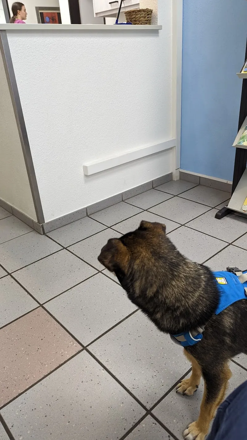 Kleintierpraxis Zentrum AG — Tierarzt in Dietlikon, Zürich. Bewertung 4.8/5.