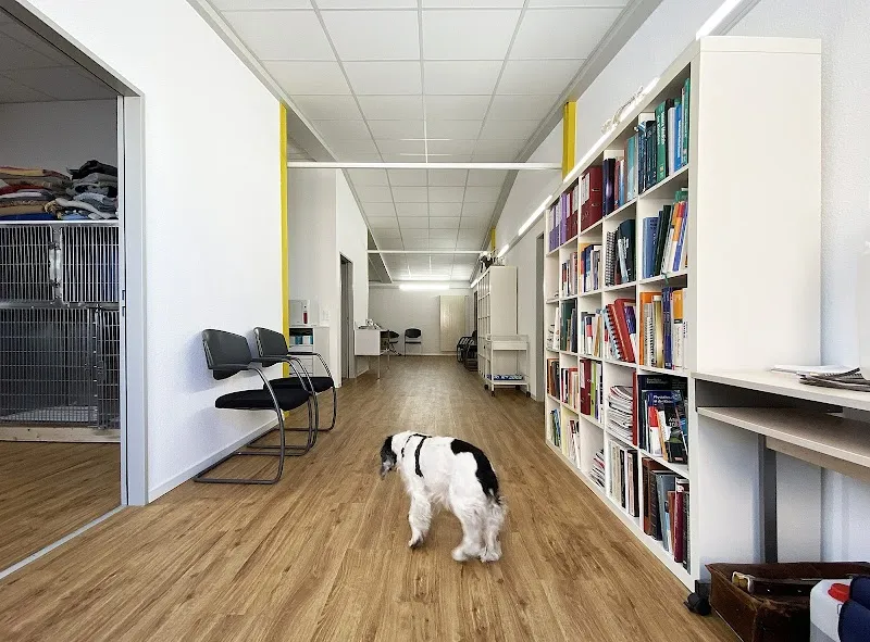 Kleintierpraxis am Bahnhof — Tierarzt in Illnau-Effretikon, Zürich. Bewertung 4.7/5.