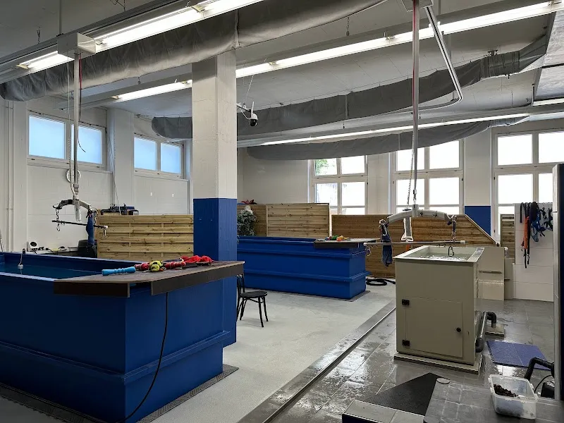 Kynofit AG — Service animalier, Illnau-Effretikon, Zurich. Foto 3