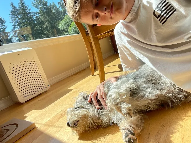 LUNA Tierhomöopathie Winterthur — Vétérinaire, Winterthur, Zurich. Foto 3