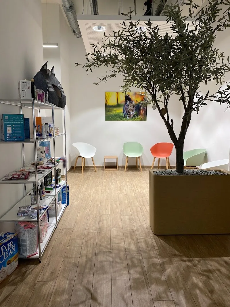 Marigin Tierarztpraxis Pfäffikon — Vétérinaire, Pfäffikon, Schwyz. Foto 2