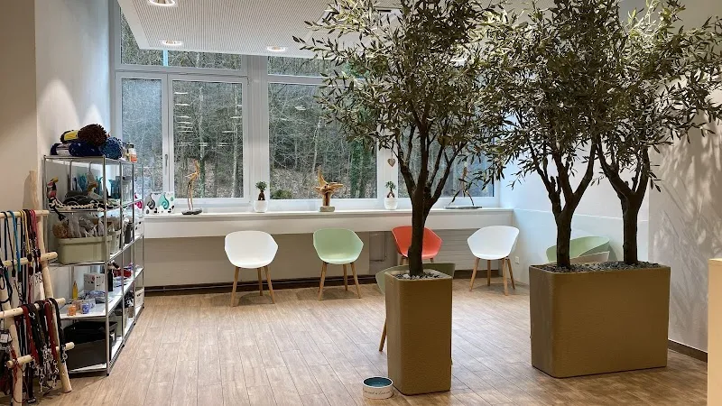 Marigin Tierarztpraxis Pfäffikon — Vétérinaire, Pfäffikon, Schwyz. Foto 3