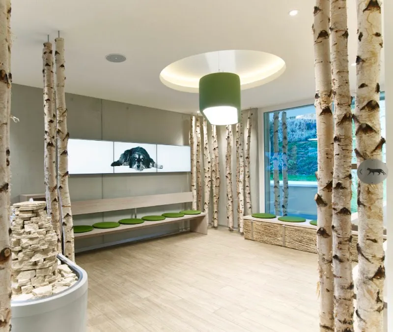 Marigin Tierklinik - 24 Std. Notfalldienst - Zentrum für Tiermedizin — Tierarzt, Feusisberg, Schwyz. Foto 2