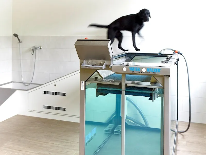 Marigin Tierklinik - 24 Std. Notfalldienst - Zentrum für Tiermedizin — Tierarzt, Feusisberg, Schwyz. Foto 3