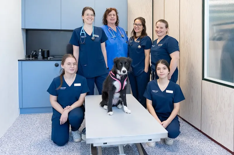 MeikoVet Kleintierpraxis Dietikon (ehem. Kleintierpraxis 'Am Weg') — Tierarzt in Dietikon, Zürich. Bewertung 4.7/5.