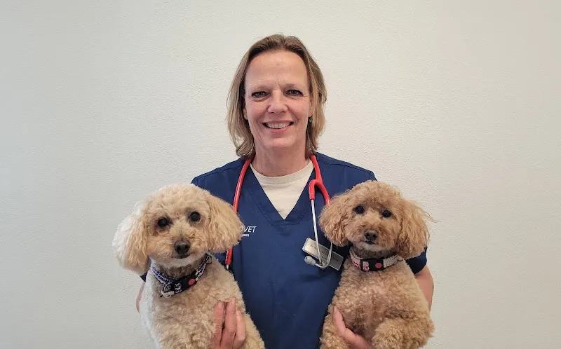 MeikoVet Kleintierpraxis Zollikon — Tierarzt, Zollikon, Zürich. Foto 3