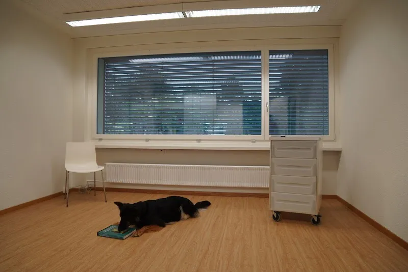 Mobile Tierarztpraxis Meier — Tierarzt, Tann ZH, Zürich. Foto 2