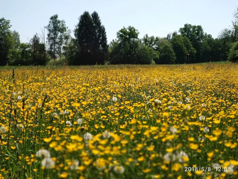 Mr. Igna Politano Wojtyna — Tierarzt in Regensdorf, Zürich. Bewertung 4.2/5.