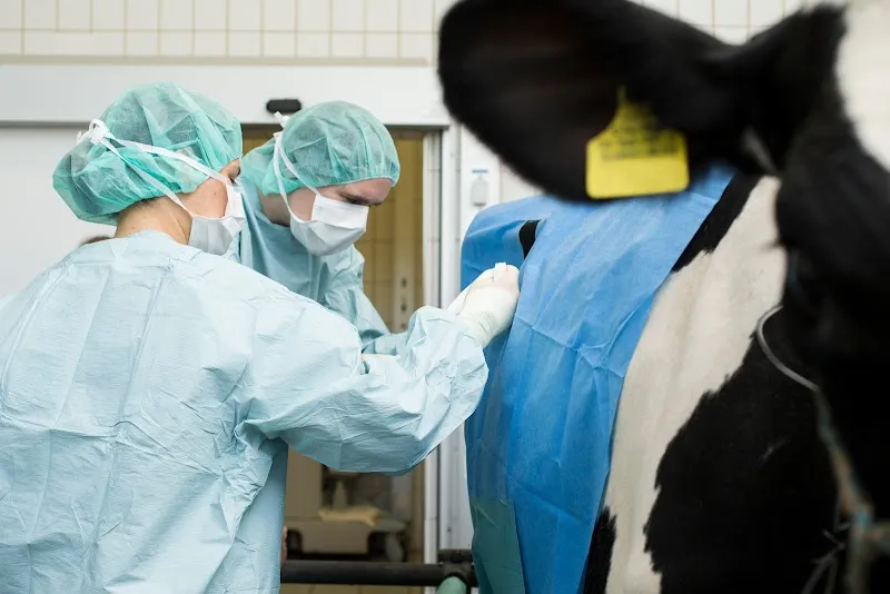 Nutztierkliniken — Vétérinaire, Zürich, Zurich. Foto 2