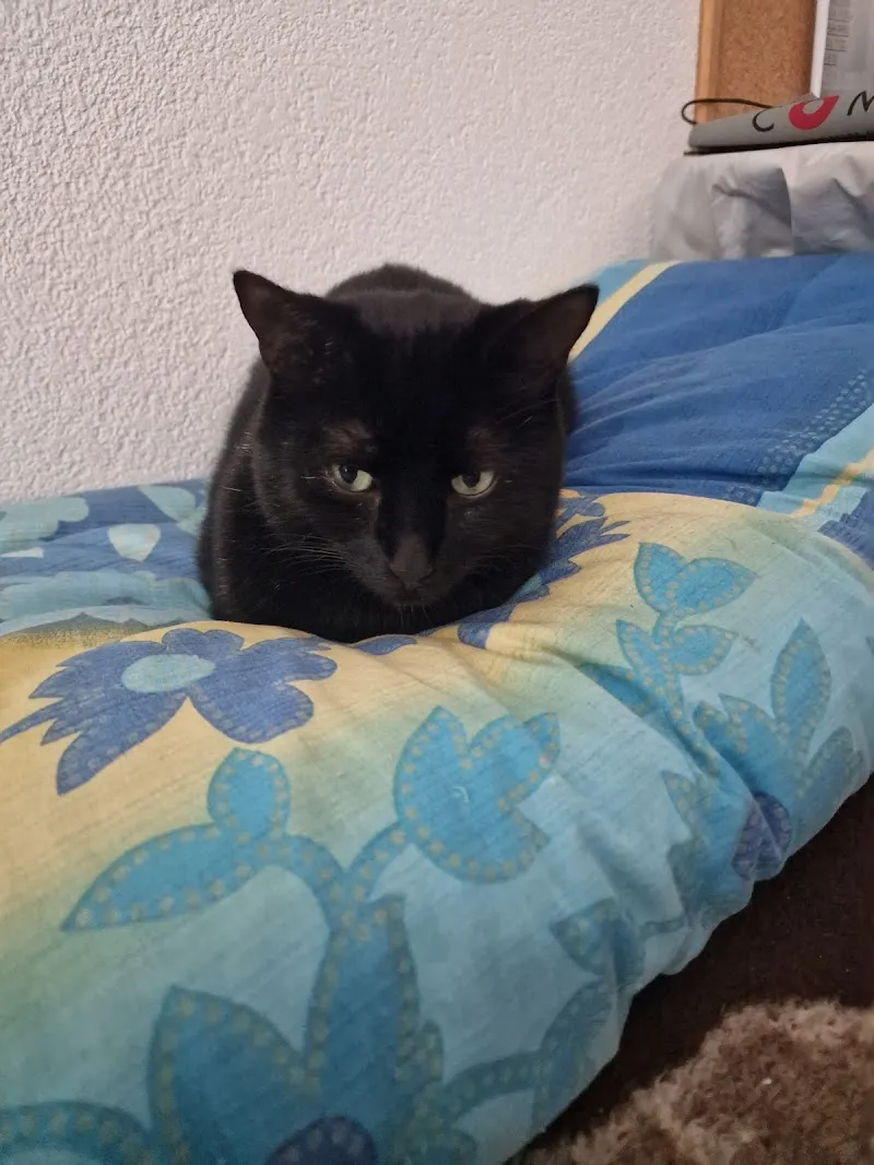 PetVet AG — Tierarzt in Richterswil, Zürich. Bewertung 4.9/5.