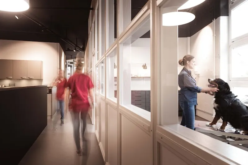 TIERARZT KILCHBERG — Tierarzt in Kilchberg, Zürich. Bewertung 4.9/5.