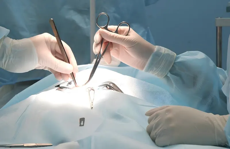 Tierarzt Zürich: Spezialist für Hunde und Katzen und Kleintierchirurgie: Dr. med. vet. Wendler — Vétérinaire, Zürich, Zurich. Foto 3