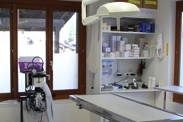 Tierarztpraxis Bachtelwald AG — Tierarzt, Wald, Zürich. Foto 3