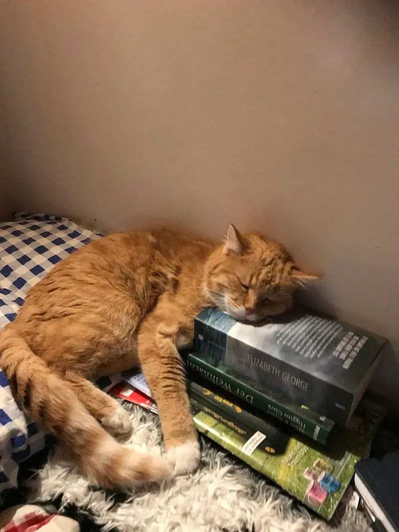 Tierarztpraxis BirmiVet AG — Vétérinaire, Birmensdorf, Zurich. Foto 3