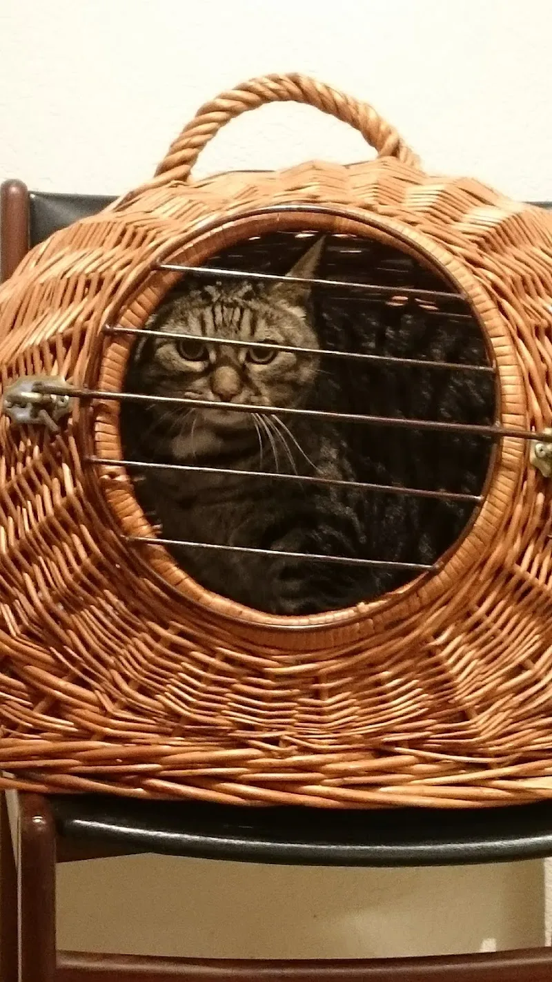 Tierarztpraxis Dr. U. Wetli — Veterinarian, Mettmenstetten, Zurich. Foto 3