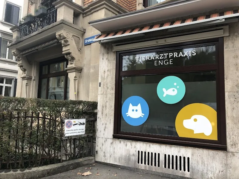 Tierarztpraxis Enge — Tierarzt in Zürich, Zürich. Bewertung 4.9/5.