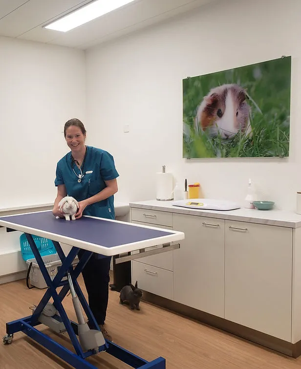 Tierarztpraxis Gull — Tierarzt in Uetikon am See, Zürich. Bewertung 4.8/5.