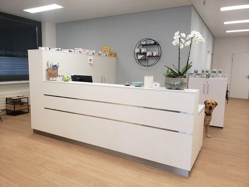 Tierarztpraxis Gull — Veterinarian, Uetikon am See, Zurich. Foto 2