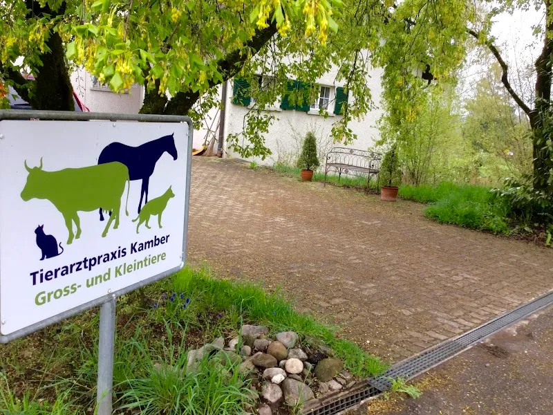 Tierarztpraxis Kamber — Tierarzt in Wermatswil, Zürich. Bewertung 5.0/5.