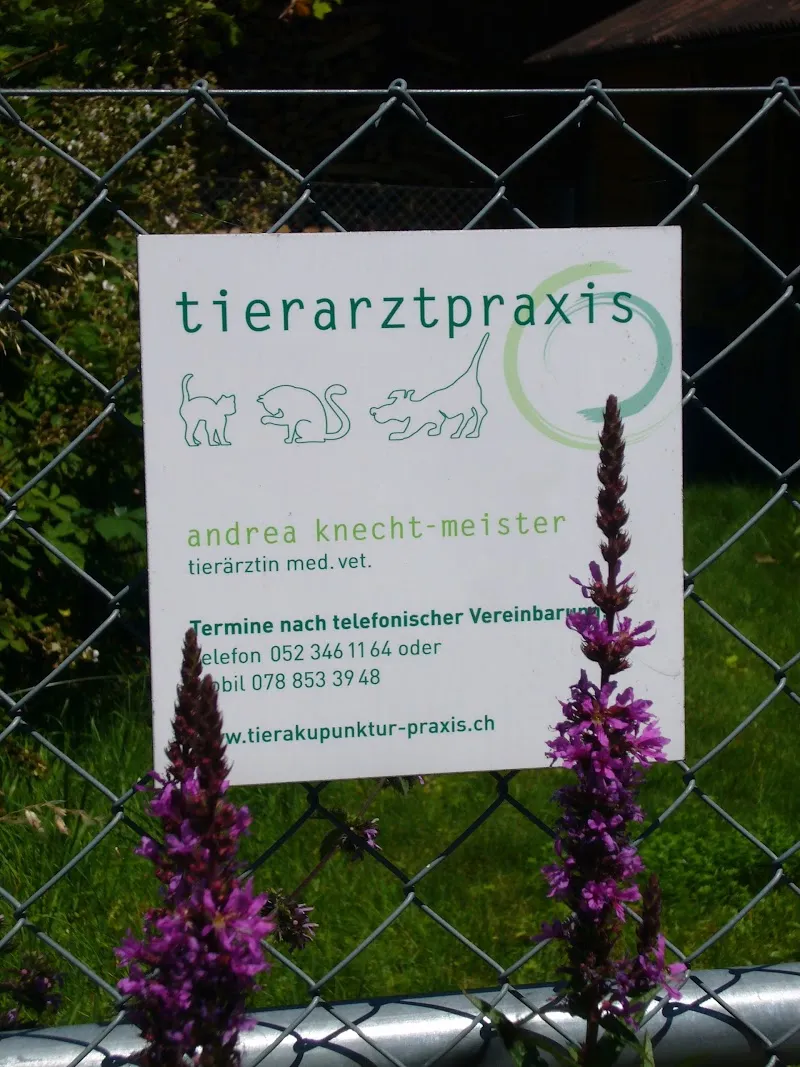 Tierarztpraxis Knecht — Tierarzt, Volketswil, Zürich. Foto 2
