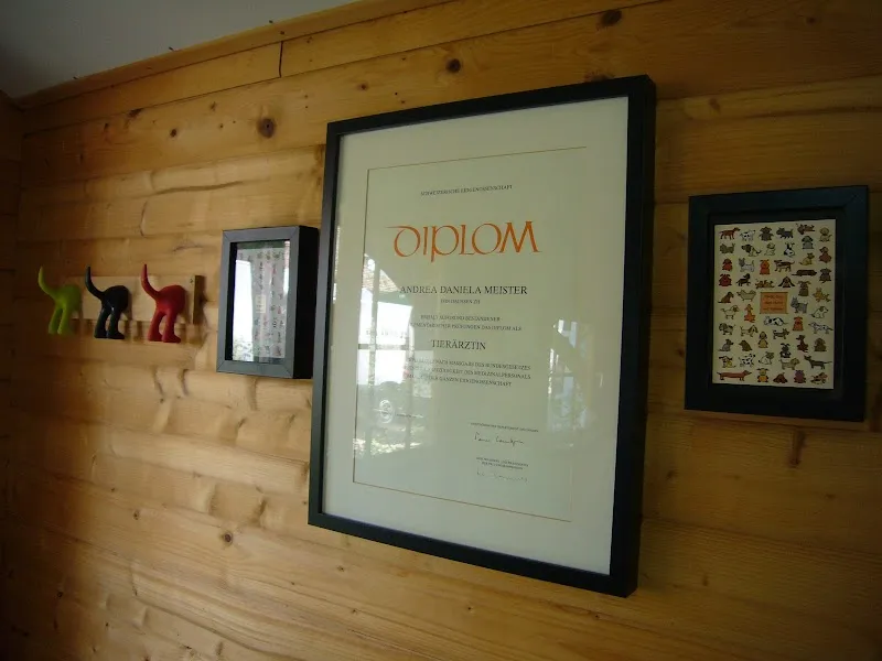 Tierarztpraxis Knecht — Tierarzt, Volketswil, Zürich. Foto 3