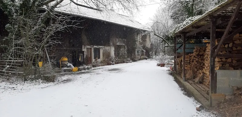 Chenil - Chatterie "Of-Liberty" — Katzenpension, Avully, Genf. Foto 3