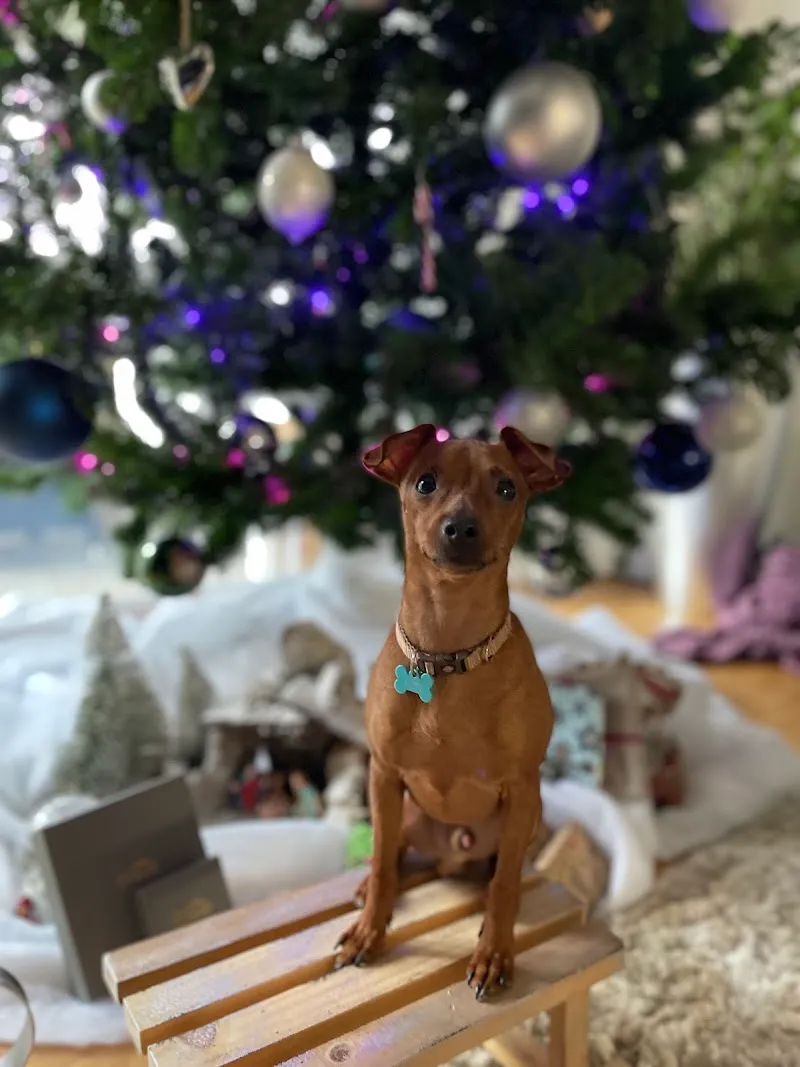 Tierarztpraxis Schlimperg AG — Veterinarian, Illnau-Effretikon, Zurich. Foto 3