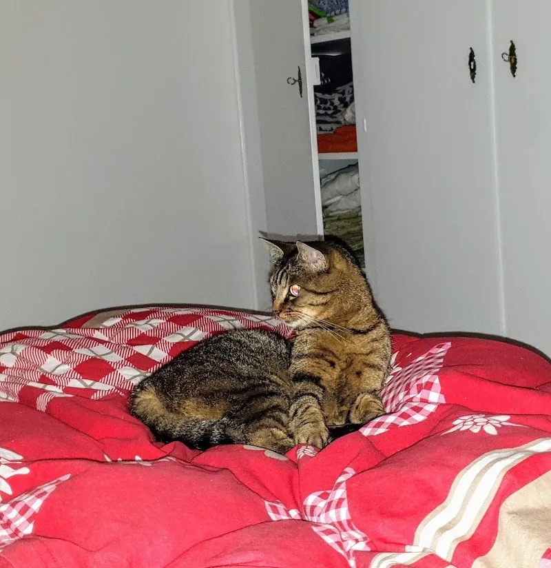 Tierarztpraxis Waedivet — Vétérinaire, Wädenswil, Zurich. Foto 3