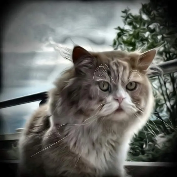 Tierarztpraxis am Bahnhof — Vétérinaire, Rüti, Zurich. Foto 3